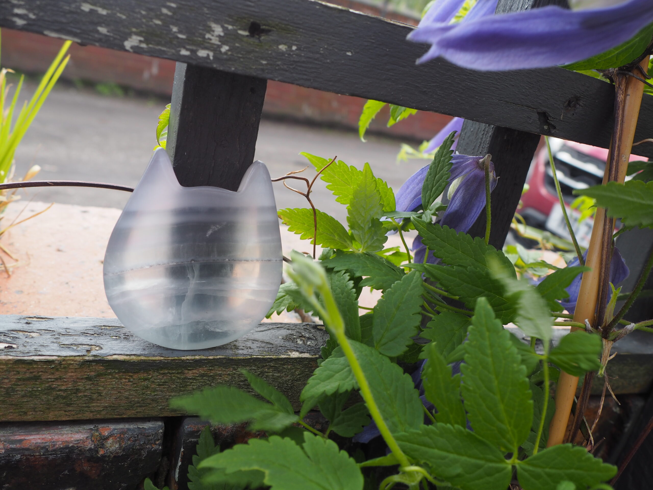 A Fluorite Pastel Cat Dish with a green and purple plant next to it.